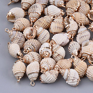 Electroplate Spiral Shell Pendants, with Iron Findings, Golden, Seashell Color, 16~26x8~12x8~10mm, Hole: 1.8mm(SSHEL-S261-10)