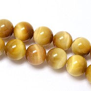 Natural Gold Tiger Eye Beads Strands, Grade A, Round, 12mm, Hole: 1~2mm, about 16pcs/strand, 8 inch(G-C076-12mm-1AA)
