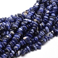 Natural Sodalite Chip Beads Strands, 4~14x4~12mm, Hole: 1mm, about 15.3 inch~16.1 inch(G-E271-125)