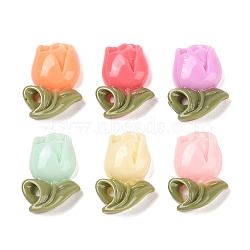 Resin Cabochons, Flower, for Valentine's Day, Mixed Color, 20x14x6mm(X-RESI-Q149-M4)