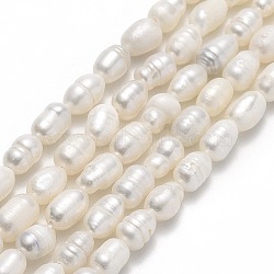 Natural Cultured Freshwater Pearl Beads Strands, Rice, Linen, 5~7x4~5mm, Hole: 0.6mm, about 49~51pcs/strand, 13.58 inch(34.5cm)(PEAR-J006-13A)
