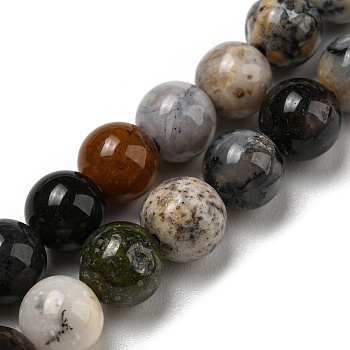 Natural Dendritic Jasper Beads Strands, Chohua Jasper, Round, 6mm, Hole: 0.8mm, about 65pcs/strand, 15.35''(39cm)