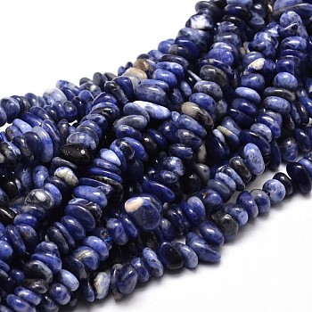 Natural Sodalite Chip Beads Strands, 4~14x4~12mm, Hole: 1mm, about 15.3 inch~16.1 inch