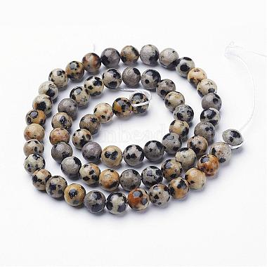 Natural Dalmatian Jasper Beads Strands(GSR6mmC004)-3