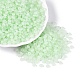 Transparent Glass Seed Beads(SEED-Q041-01J)-2