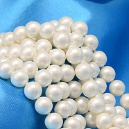 Round Shell Pearl Bead Strands, Matte Surface, Creamy White, 10mm, Hole: 0.8~1mm, about 40pcs/strand, 15.74 inch.(BSHE-L011-10mm-A013A)