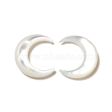 Natural White Shell Beads(BSHE-E026-11)-2