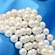 Round Shell Pearl Bead Strands(BSHE-L011-10mm-A013A)-1