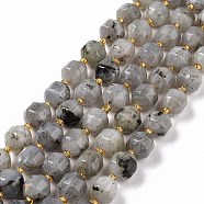 Natural Labradorite Beads Strands, with Seed Beads, Faceted Bicone Barrel Drum, 9.5x8.5mm, Hole: 1.2mm, about 31pcs/strand, 14.17 inch(36cm)(G-G990-F04)