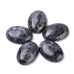 Natural Labradorite Cabochons, Oval, Dyed, 25x18x7~8mm(X-G-T062-19)