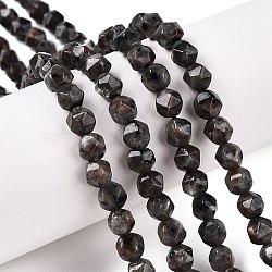 Natural Syenite Beads Strands, Round, Faceted, 5.5~6x5.5~6.5mm, Hole: 1mm, about 60~62pcs/strand, 14.17~14.88''(36~37.2cm)(G-T138-219)