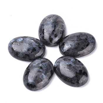 Natural Labradorite Cabochons, Oval, Dyed, 25x18x7~8mm