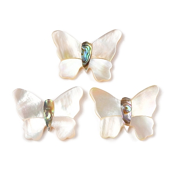 Natural White Shell & Paua Shell Cabochons, Butterfly, Colorful, 21x26.5x2.5mm