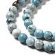 Natural Gemstone Beads Strands(G-F730-02A)-4