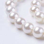Shell Pearl Beads Strands, Round, White, 6mm, Hole: 1mm, about 63pcs/strand, 15.7 inch(X-BSHE-L035-6mm-I13)
