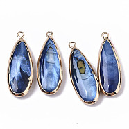Natural Freshwater Shell Pendants, with Iron Loops, Edge Golden Plated, Dyed, Teardrop, Marine Blue, 31~33x10.5~12x5mm, Hole: 1.8mm(X-SHEL-R047-03A)