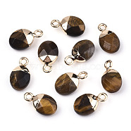Natural Tiger Eye Charms, Top Light Gold Plated, with Iron Loop, Oval, Faceted, 14~15x8x5mm, Hole: 1.8mm(G-N326-58C)