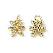 Real 18K Gold Plated Brass Micro Pave Clear Cubic Zirconia Charms, with Jump Ring, Constellation Charm, Pisces, 10x9x2.5mm, Hole: 3.4mm(KK-E068-VB411-12)
