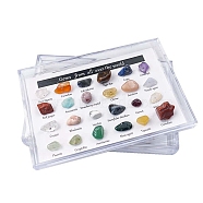 Natural Gemstones Nuggets Collections, for Earth Science Teaching, Box: 90x60x20mm, Gemstone: 8~14x5~8mm, 24pcs/box(G-F734-03)