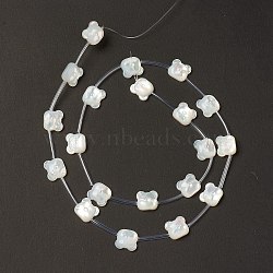 Natural White Shell Mother of Pearl Shell Beads, Bear Head, Creamy White, 9.5x10.5x3.5mm, Hole: 0.9mm, about 20pcs/strand, 18.90''(48cm)(BSHE-B005-08)