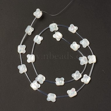 11mm Creamy White Bear White Shell Beads