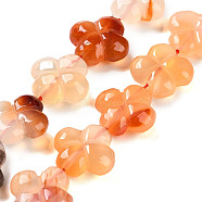 Natural Agate Beads Strands, 4-Petal Flower, 16x15.5x5.5mm, Hole: 1mm, about 24pcs/strand, 2.76''(7cm)(G-H024-C01-01)