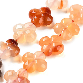 Natural Agate Beads Strands, 4-Petal Flower, 16x15.5x5.5mm, Hole: 1mm, about 24pcs/strand, 2.76''(7cm)