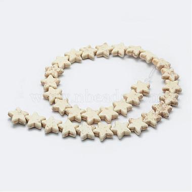 Synthetic Magnesite Bead Strands(G-P228-57)-2