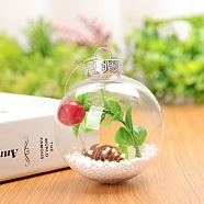 Transparent Plastic Fillable Ball Pendants Decorations, with Red Fruit inside, Christmas Tree Hanging Ornament, Clear, 60mm(XMAS-PW0002-02A-09)