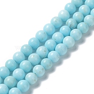 Natural Howlite Beads Strands, Dyed, Round, 8.5mm, Hole: 1mm, about 49pcs/strand, 15.59''(39.6cm)(G-E604-B02-B)