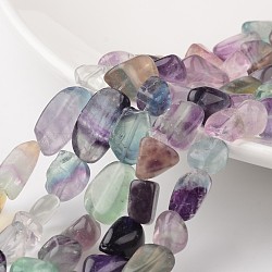 Chip Natural Fluorite Bead Strands, 9~15x8~12x5~8mm, Hole: 1mm, about 15.7 inch(G-M345-03)