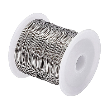 BENECREAT 1 Roll Tiger Tail Wire, 316 Surgical Stainless Steel, for Jewelry Making, Stainless Steel Color, 24 Gauge,0.5mm,about 75.45 Feet(23m)/roll