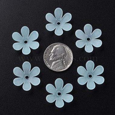 perles acryliques transparents(X1-MACR-S373-107-D04)-4