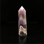 Point Tower Natural Amethyst Home Display Decoration, Healing Stone Wands, for Reiki Chakra Meditation Therapy Decos, Hexagon Prism, 50~60mm(PW23030655804)