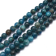 Natural Apatite Beads Strands, Round, 6mm, Hole: 1mm, about 64pcs/strand, 15.7 inch(40cm)(G-F591-01-6mm)