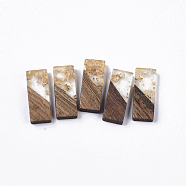 Transparent Resin & Walnut Wood Pendants, with Gold Foil, Rectangle, Gold, 23x9x3.5mm, Hole: 2mm(RESI-Q210-007A-A01)
