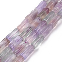 Natural Fluorite Twist Column Beads Strands, 21x10x10mm, Hole: 1mm, about 19pcs/strand, 15.74 inch(G-L240-02)