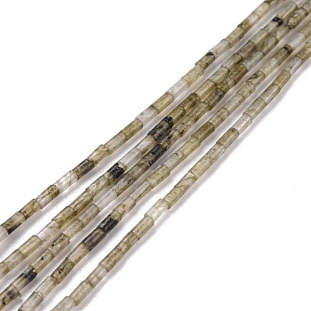 Natural Labradorite  Beads Strands, Undyed, Column, 3.8~4.3x2.4mm, Hole: 0.9mm, about 87pcs/strand, 14.88~15.12 inch(37.8~38.4cm)