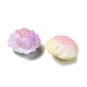 Resin Beads(RESI-F046-03)-2