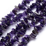 Natural Amethyst Beads Strands, Chip, 12~18x5~8mm, Hole: 1mm, 15.3 inch(39cm)(X-G-K220-04)