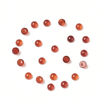 Natural Red Agate Cabochons, Half Round, 3x2mm