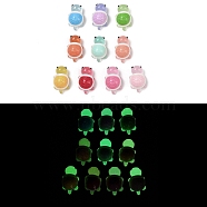 Luminous Opaque Resin Decoden Cabochons, Glow in the Dark Tortoise, Mixed Color, 28x17x13mm(RESI-Q230-06)