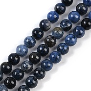 Natural Dumortierite Beads Strands, Round, 6mm, Hole: 1mm, about 62pcs/strand, 15.16''(38.5cm)(G-G167-A06-6MM)