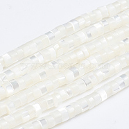 Natural Trochid Shell/Trochus Shell Beads Strands, Column, White, 3.5~4x2~2.5mm, Hole: 0.8mm, about 176pcs/strand, 15.94 inch(40.5cm)(SSHEL-L016-13A)