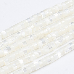 Natural Trochid Shell/Trochus Shell Beads Strands, Column, White, 3.5~4x2~2.5mm, Hole: 0.8mm, about 176pcs/strand, 15.94 inch(40.5cm)(SSHEL-L016-13A)