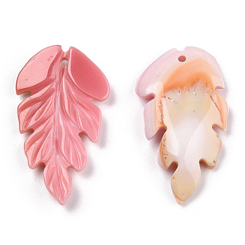 Natural Pink Shell Pendants, Feather Charm, 24.5x14x3mm, Hole: 1mm