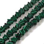 Synthetic Malachite Beads Strands, Star, 6x5.5x2mm, Hole: 0.8mm, about 75pcs/strand, 14.57 inch(37cm)(G-G085-B07-02)