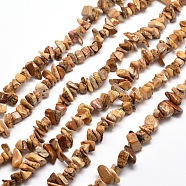 Natural Picture Jasper Chip Bead Strands, 5~8x5~8mm, Hole: 1mm, about 31.5 inch(G-M205-31)