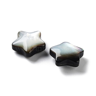 Natural Black Lip Shell Beads(SHEL-M020-02B)-2