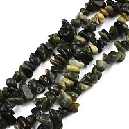 Natural Peridot Beads Strands, Chip, 5~13x5~13x1~7mm, Hole: 1mm, about 240~420pcs/strand, 34.6 inch(G-R002-12)